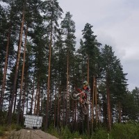 Adrian Salamonsen