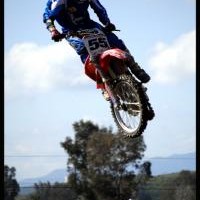 DANE ROUSE