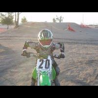Carlos Bedoy Jr