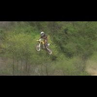 shane hamiltom