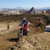 Brett Fox
