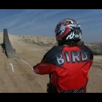 Bird .