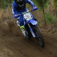 MIKE  Grizzle