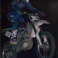 Greg Palladino