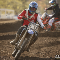 Daniel Linke
