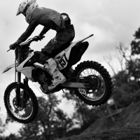 Austin Williamson