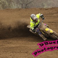 Austin wold