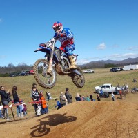 Bart Wellisley 