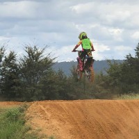 Wyatt  Harrington