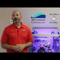 Chiropractor St  Augustine
