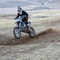 Shawn Stewart