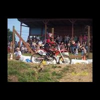Lonnie Bargo