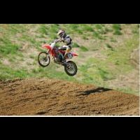 Nicholas Bloomer