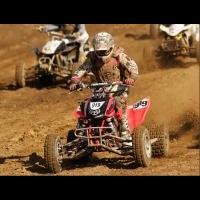 nick cairoli