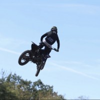 brandon haas
