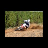 Tristen Johnstone