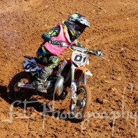 Noah Adams