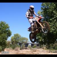 Sean Tully