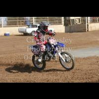 aaron brandt