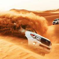 Arabian Safari Safar