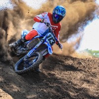 Austin Brydges