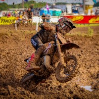 Colt  Whitaker