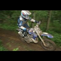 Timothy Reid