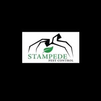 Stampede  Pest Control