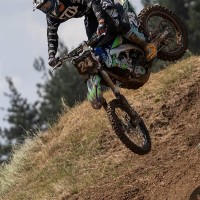 Harli Gorov
