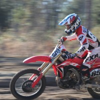 Robert Surace