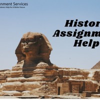 All Assignment  Services