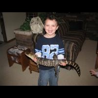 Paxton Jobe