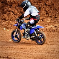 Knox Helton