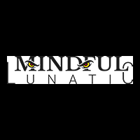 mindfull lunatic
