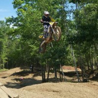 Steve Reesor