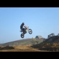 Tylor Pansini