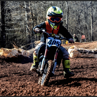 Greenlee Palmer