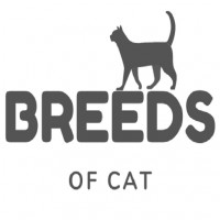Breeds of  Cat