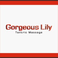 Gorgeous Lily