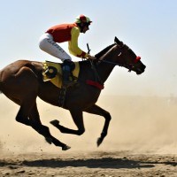 bet365kurzy bet365kurzy