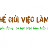 Thế giới  việc làm