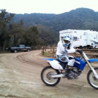 Stevie Scharton