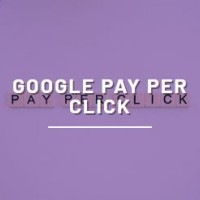 apexdigi24 apexdigi24