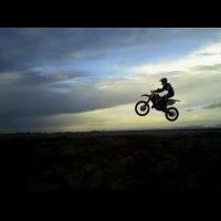 Colton Evans
