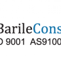 Barile Consulting Service LLC