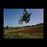 Greg Lauder