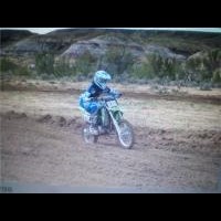 Jarett David
