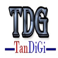 Dịch Vụ SEO  Tandigi 
