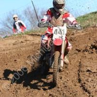 Devon Adair