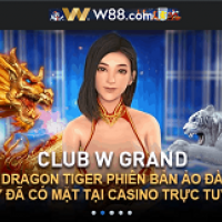 vnw 88vn